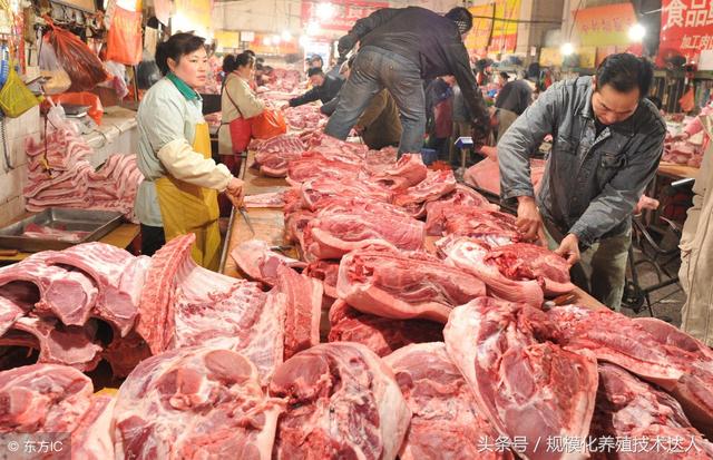 科技助力豬肉價格跟蹤，智能監(jiān)控，洞悉未來市場動態(tài)