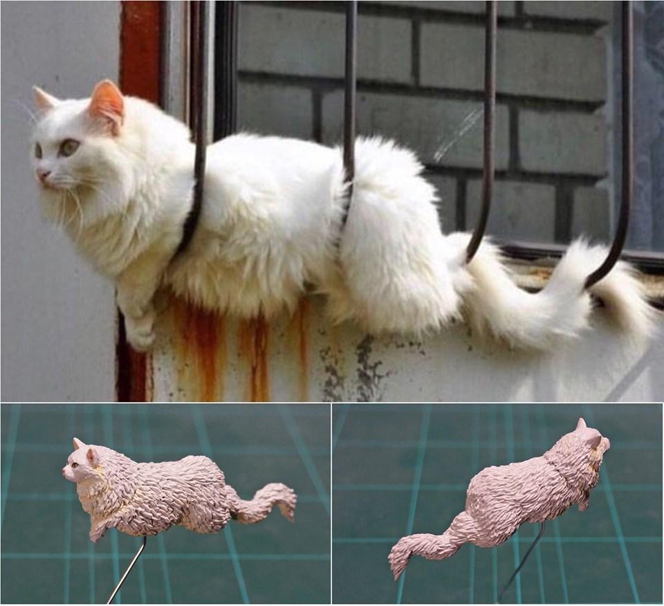 神之手比賽，技藝巔峰的榮耀之戰(zhàn)