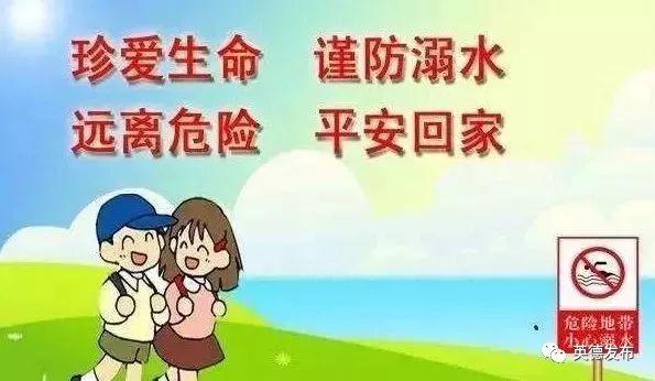 征文比賽方案，初學者與進階用戶的全方位指南