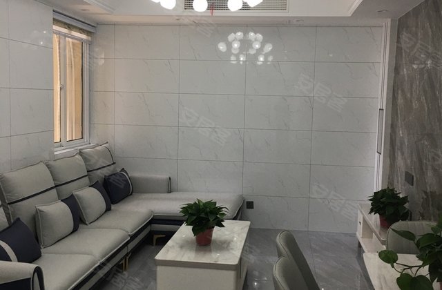 泰興市最新二手房資訊,泰興市最新二手房資訊，小巷深處的獨特風(fēng)情小店