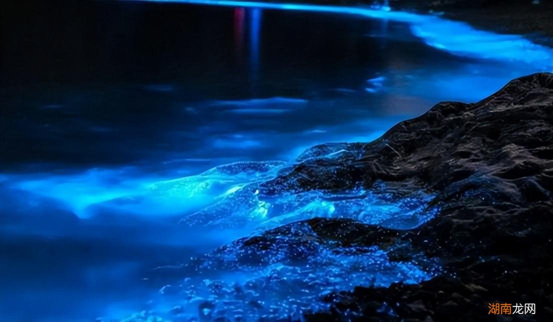 最新藍(lán)眼淚現(xiàn)象，尋找內(nèi)心平靜的奇妙旅程