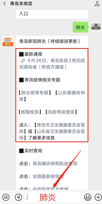 青島最新動(dòng)態(tài)，多維度視角下的城市發(fā)展探析