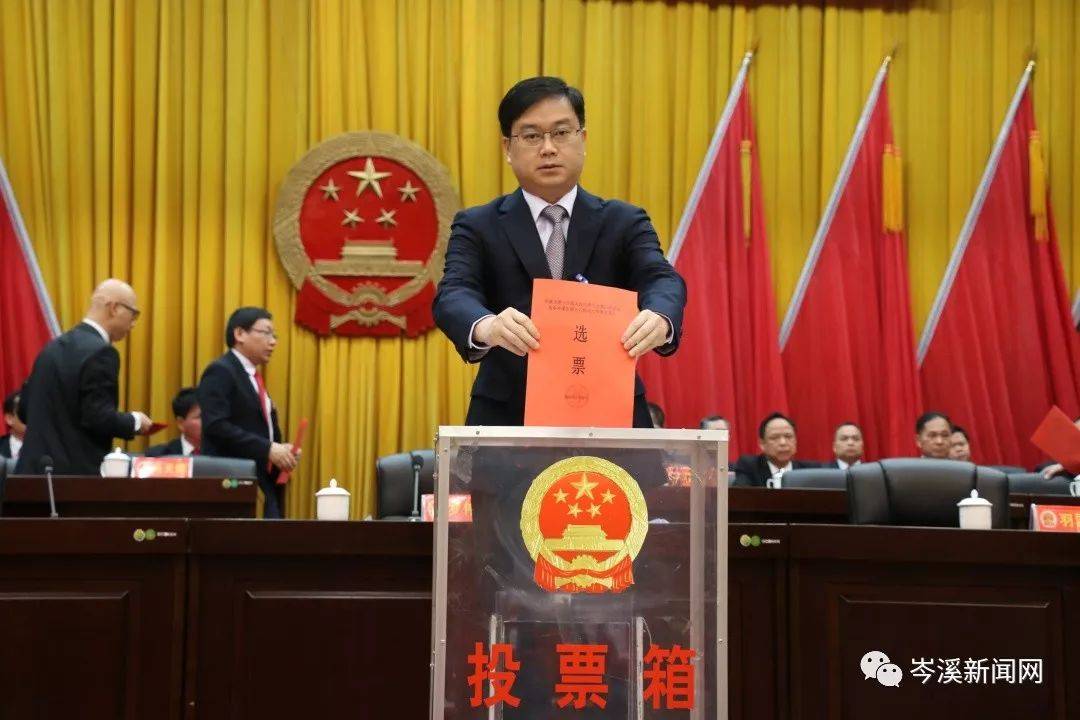 岑溪人事任免信息詳解，獲取指南及初學者進階指南