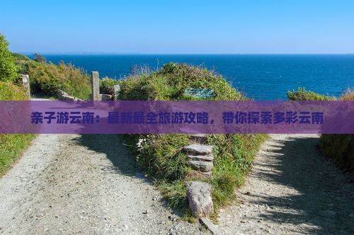 云南旅游最新攻略,云南旅游最新攻略，自信之旅，探索變化中的美景與成就感