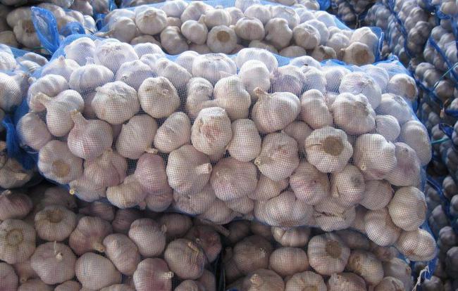 開封大蒜最新市場價格，時代味道與市場動態(tài)同步更新