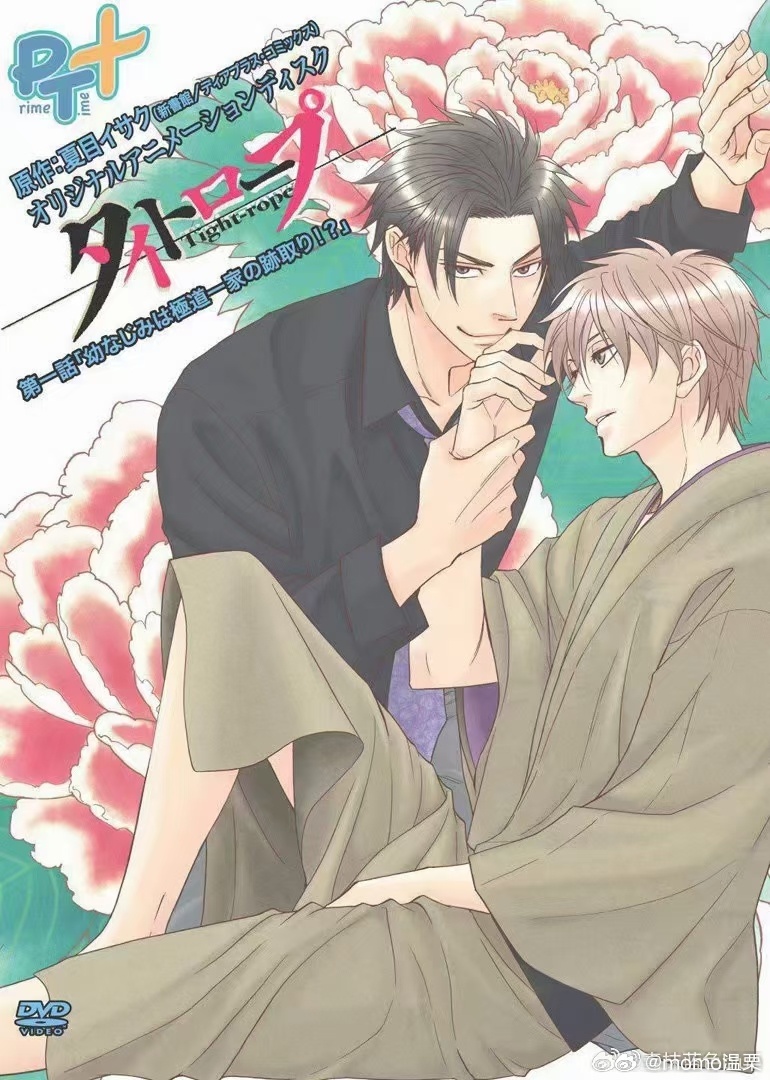 最新BL動(dòng)漫推薦，心靈與自然的浪漫之旅