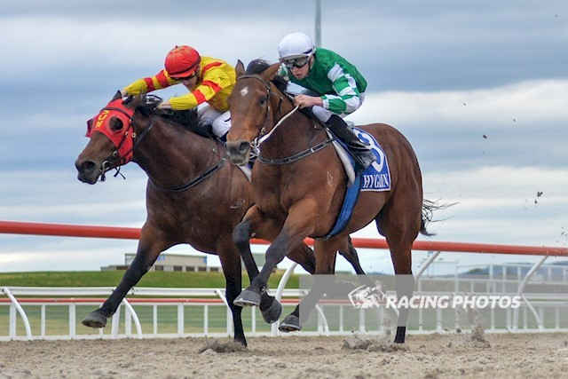 斗馬比賽殘忍視頻直播,斗馬比賽殘忍視頻直播，現(xiàn)象、爭議與反思