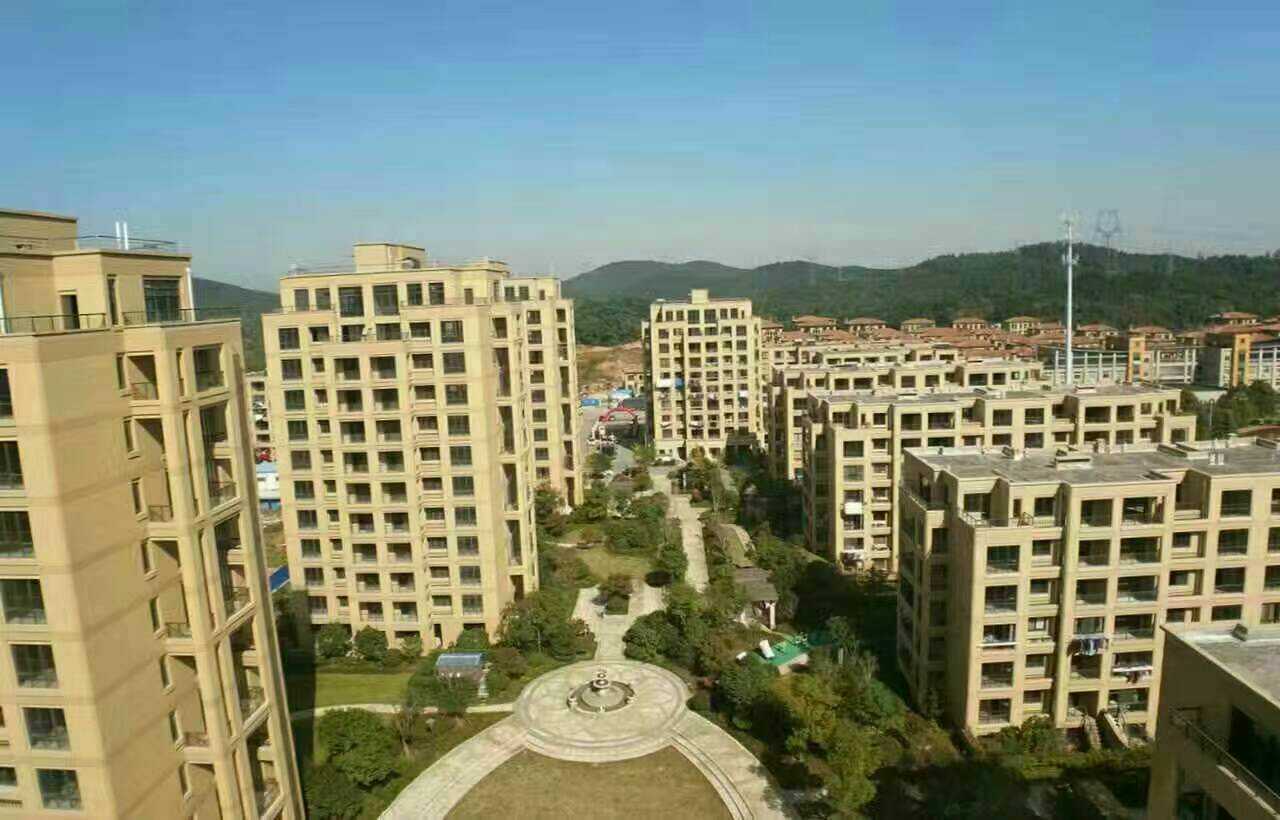 長興二手房資訊，科技引領房產新紀元，智能體驗重塑生活空間