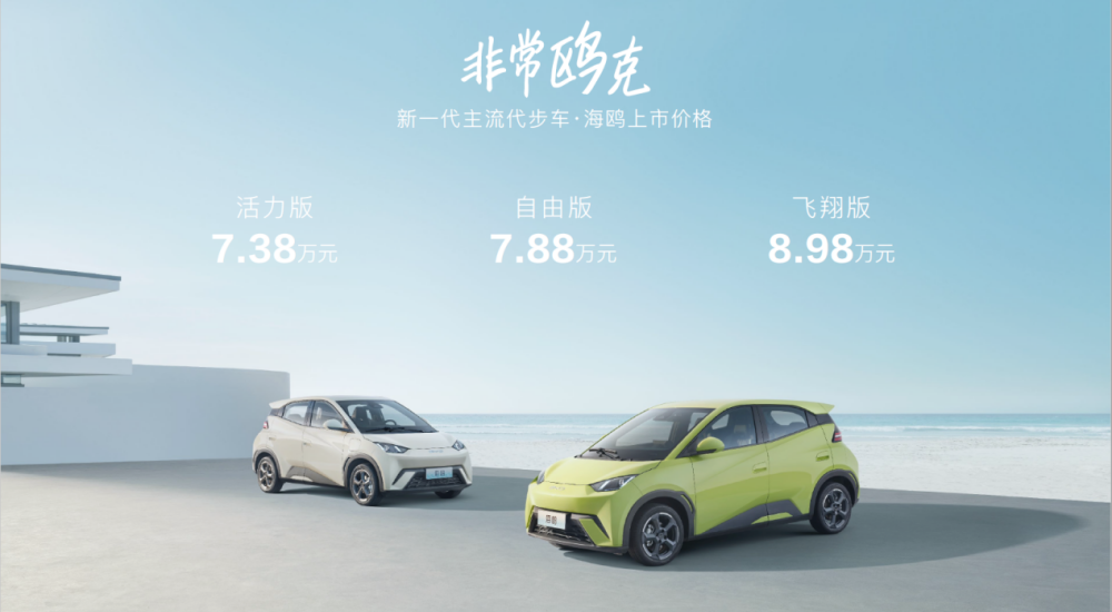 比亞迪海鷗價(jià)格背后的故事，與家的溫馨紐帶，探尋海鷗情感價(jià)值