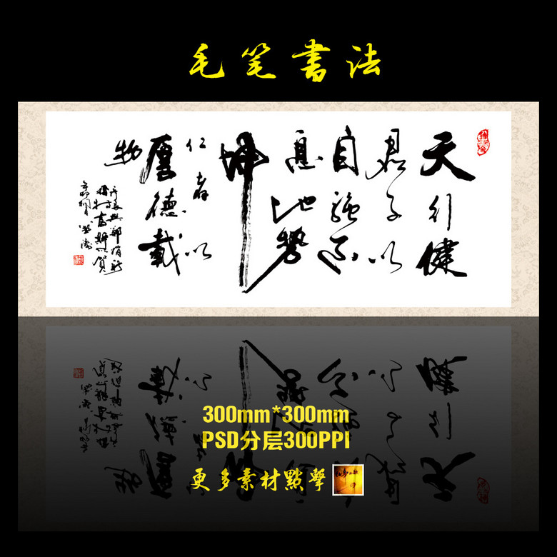 天行健上市,天行健上市，邁向資本市場的堅(jiān)實(shí)步伐