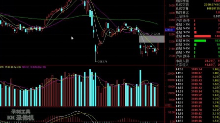 股票分析，洞察投資之路，制定明智策略