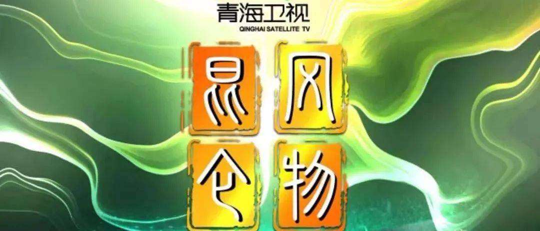 青海人事任免最新動態(tài)，溫情故事揭秘人事變遷