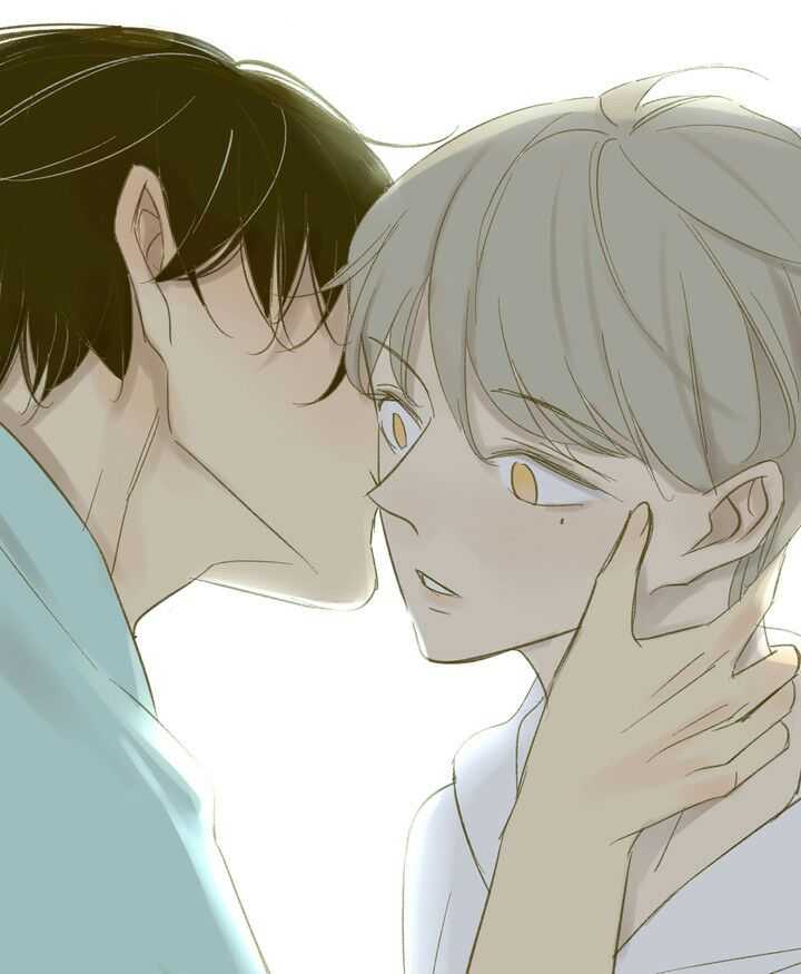 暖心日常在同性動(dòng)漫中的展現(xiàn)