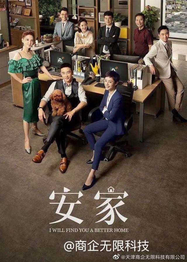 安家天下新動態(tài)，深度探索與觀點分析