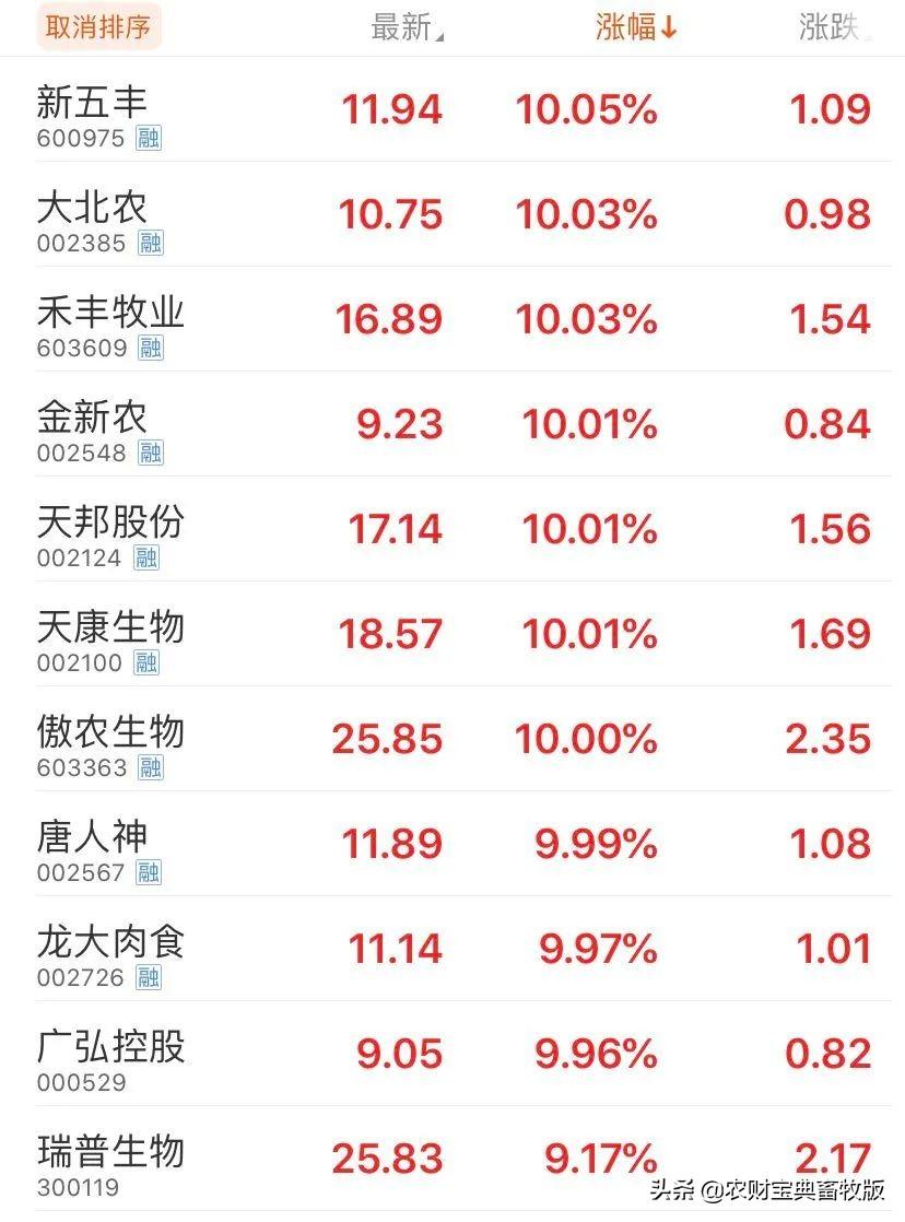 股票新五豐，深度解析投資價值與策略選擇