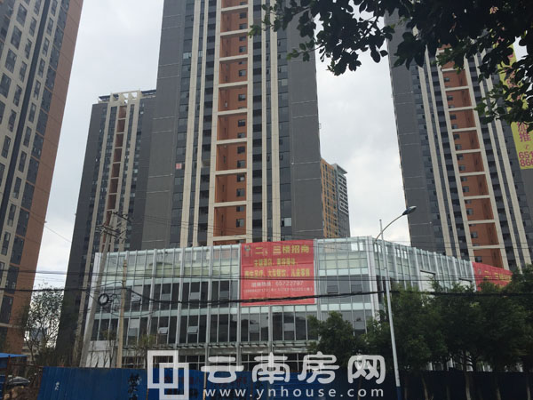 昆明名旺角最新資訊全攻略，資訊獲取指南與動(dòng)態(tài)速遞