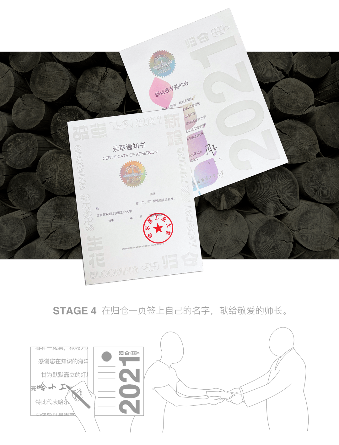 小巷印章探秘，最新章節(jié)揭秘官方印章的魅力