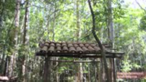 澳洲小哥荒野求生紀實，學習荒野求生技能的必備指南