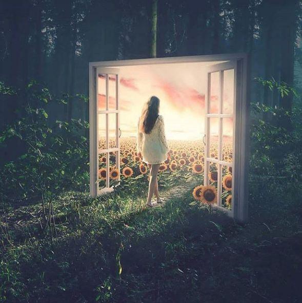 微信收費(fèi)服務(wù)位置查詢最新探討，功能解析與影響分析