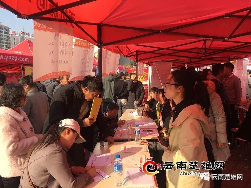 東鄉(xiāng)縣最新招聘資訊，職業(yè)發(fā)展的理想選擇地，尋找人才與機(jī)遇的交匯點(diǎn)