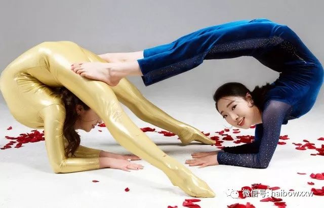 柔術(shù)資訊深度解析，探索世界聚焦要點(diǎn)