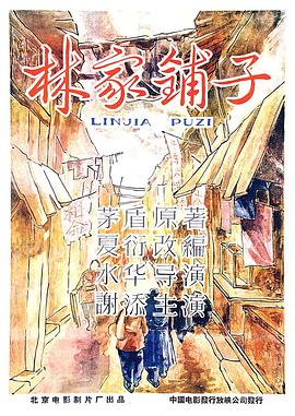 電影林家鋪子,日常溫馨趣事與深厚友情的紐帶之旅