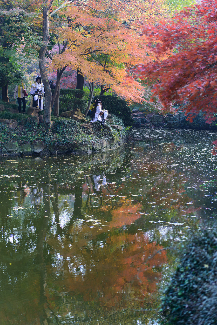 秋霞影院最新，電影藝術(shù)的現(xiàn)代盛宴