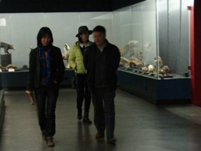 李元潮最新動(dòng)態(tài)揭秘，小巷深處的獨(dú)特風(fēng)味探秘之旅