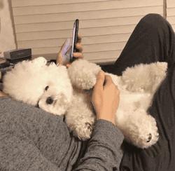 愛5演員表大全及詳細(xì)步驟指南