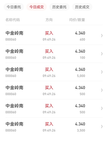 中金嶺南行情深度解析，最新動(dòng)態(tài)與走勢分析