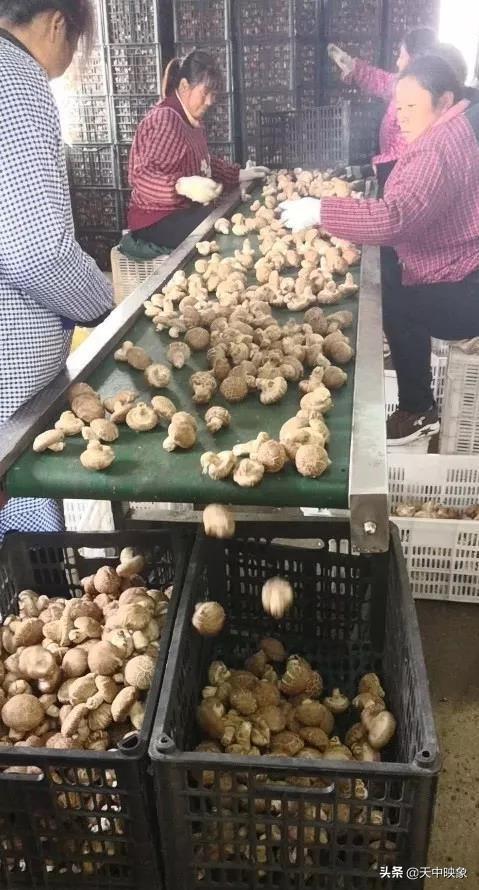 中脈上市指南，詳細步驟帶你了解中脈上市之路