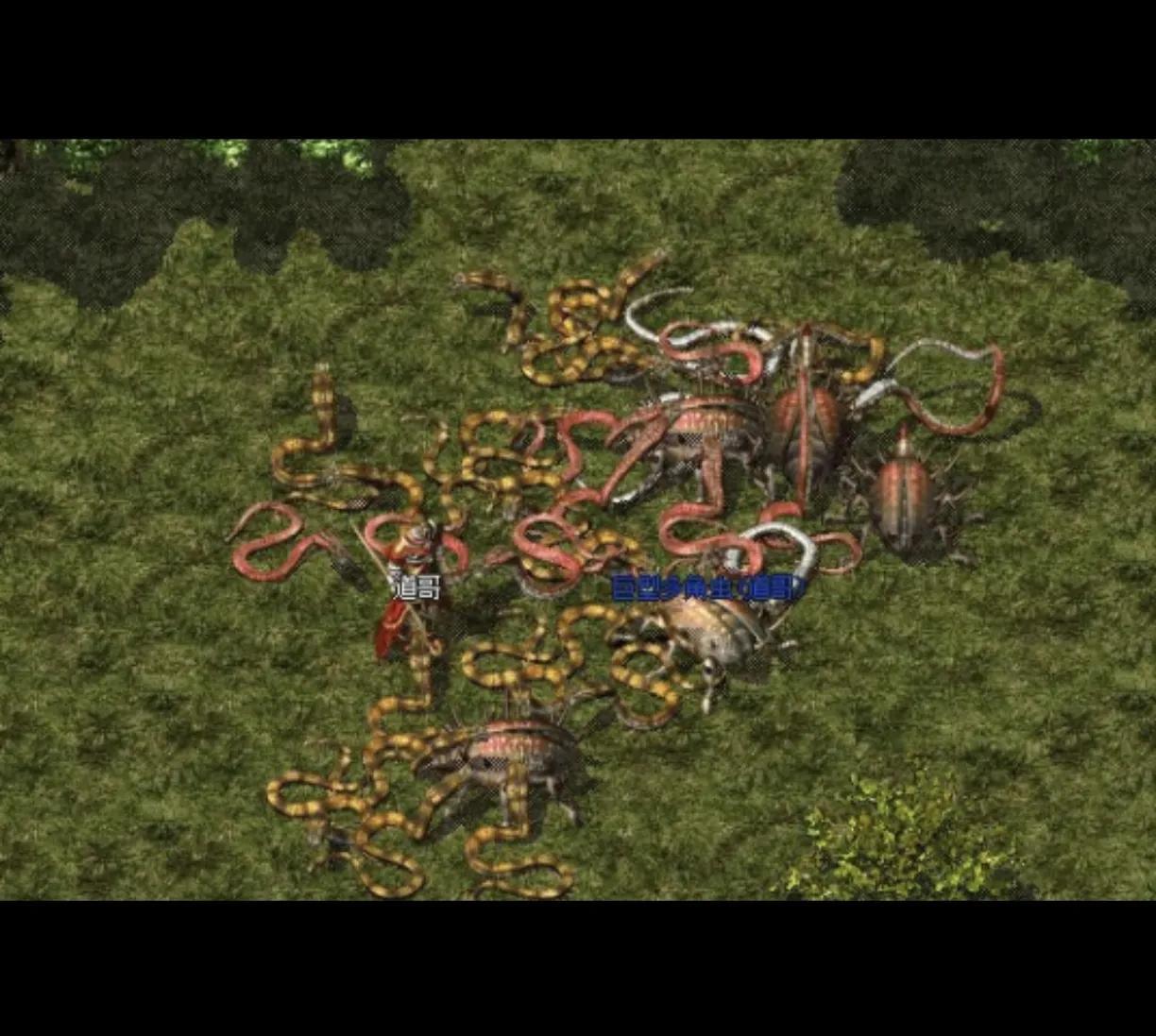 裁決之地演員，小巷中的隱秘寶藏揭秘