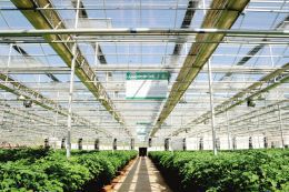 現(xiàn)代溫室種植技術(shù)深度解析