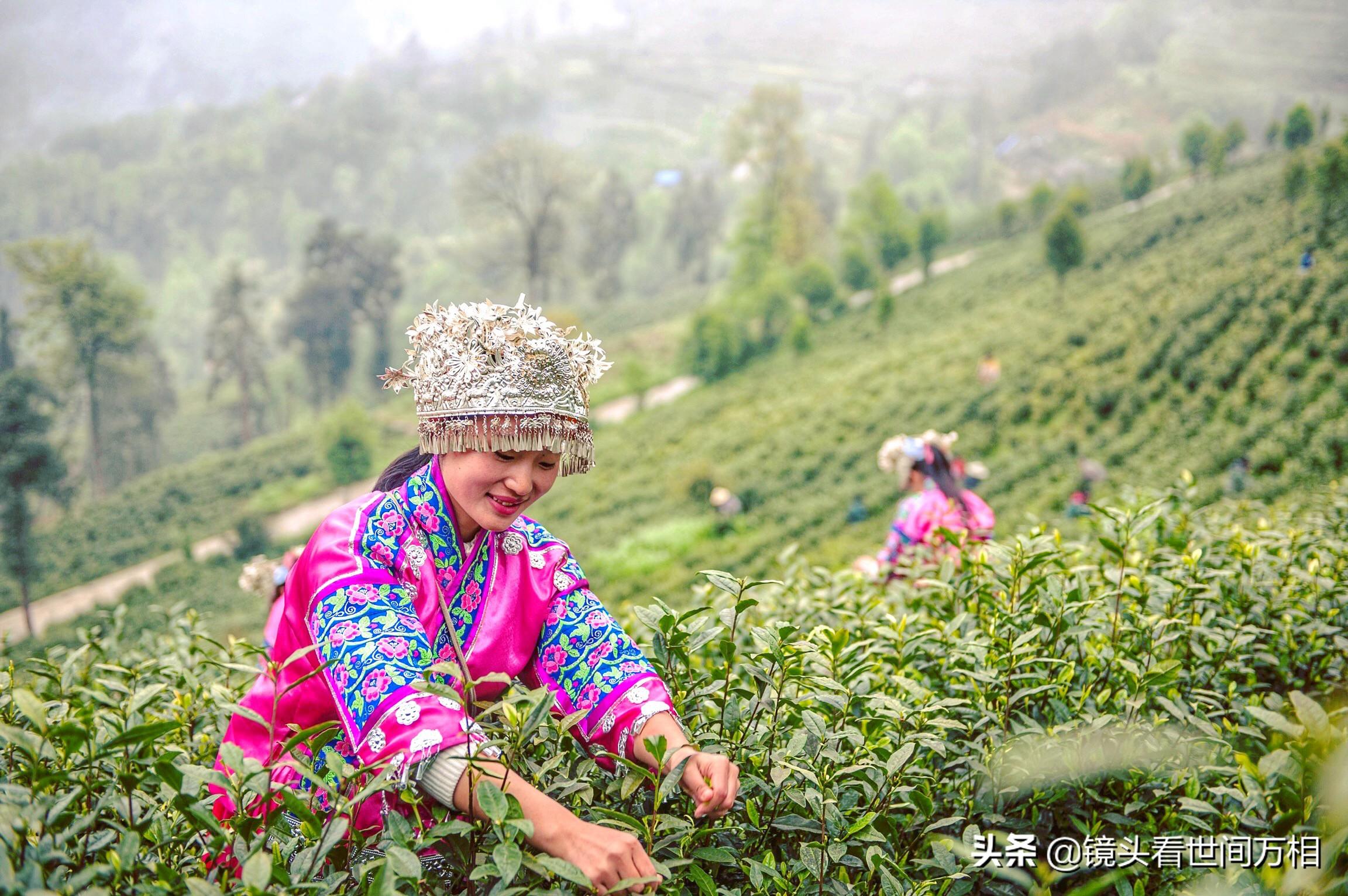 黔南新聞快訊，新鮮出爐的當(dāng)?shù)刭Y訊，不容錯(cuò)過！
