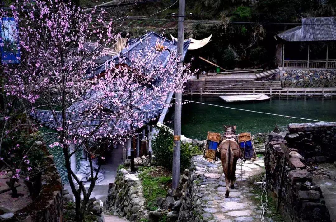 瑞安地圖更新，城市變遷與我們的成長之路