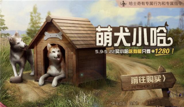 新型寵物風潮，另類寵物的興起、爭議與介紹