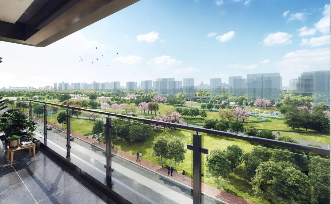 港悅城最新動(dòng)態(tài)，變化中的學(xué)習(xí)之旅，自信與成就感的源泉