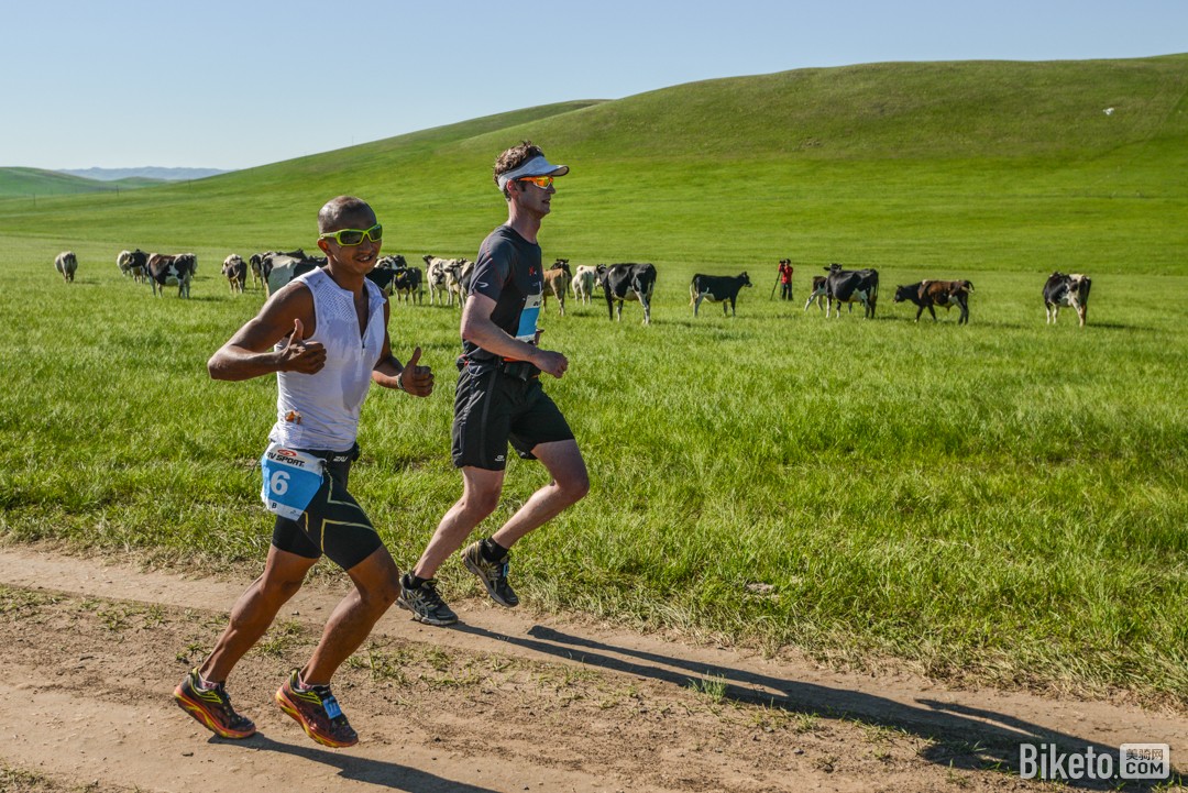 鐵木真比賽，小巷中的寶藏，競技盛宴開啟