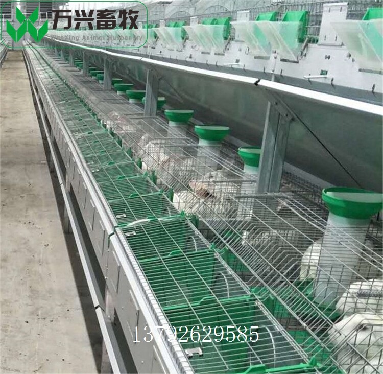 革新養(yǎng)兔業(yè)，新型兔籠引領(lǐng)里程碑式發(fā)展