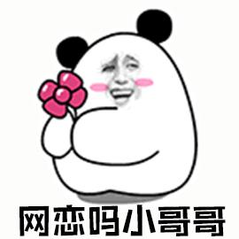 開啟并經(jīng)營(yíng)一段網(wǎng)戀關(guān)系的實(shí)用指南，一步步教你掌握網(wǎng)戀動(dòng)態(tài)！