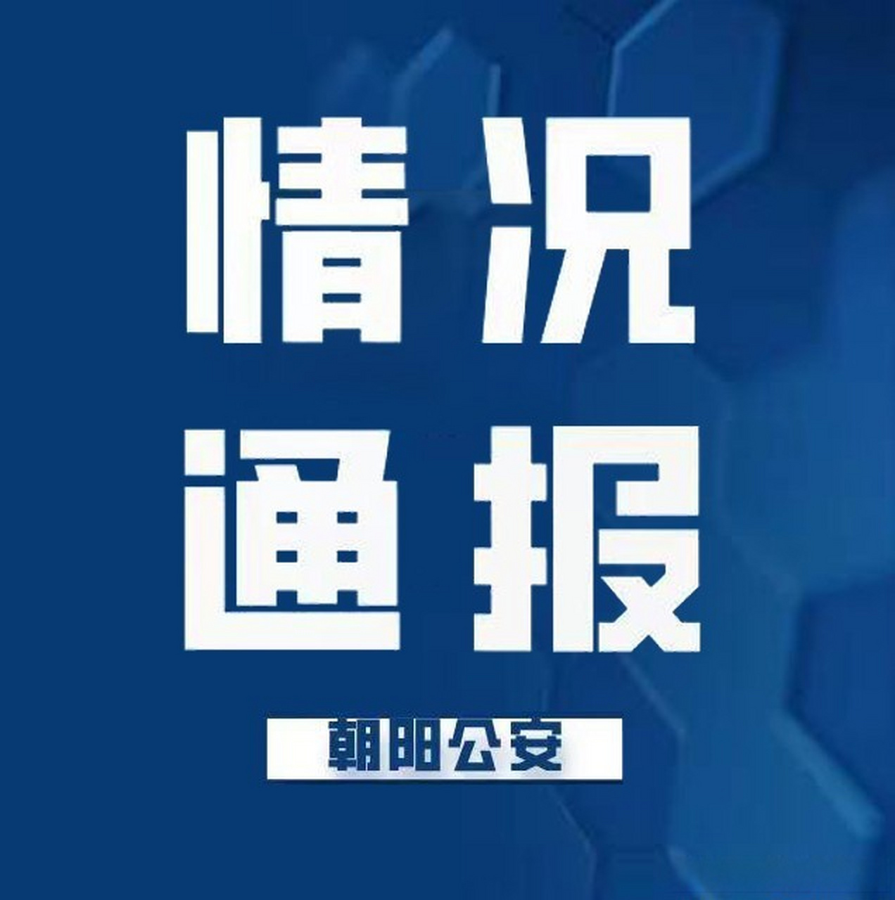最新動態(tài)揭示，平凡日常的溫馨故事