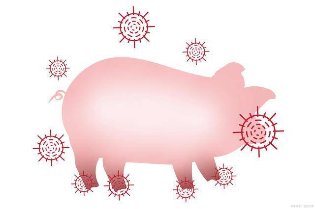 豬瘟疫情最新動態(tài)，一場與自然美景的輕松遨游之旅