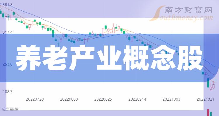 養(yǎng)老上市公司，小巷中的隱秘寶藏與特色小店的無(wú)限魅力探索