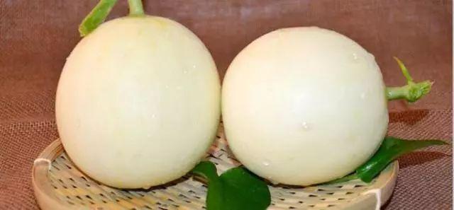 莘縣燕店鎮(zhèn)甜瓜價格，時代甜香記憶的探尋