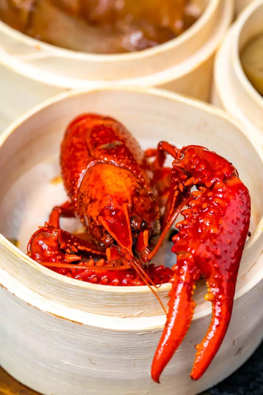 重慶95號汽油最新行情動態(tài)及資訊速遞