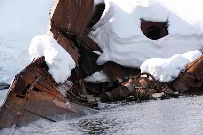 南極奇觀揭秘，探索奇跡與自我超越的力量最新報道