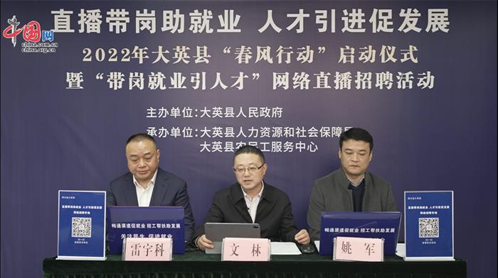 大英縣職位招聘探秘，小巷寶藏與特色小店的邂逅之旅