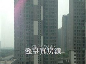 洛陽泉舜房價最新動態(tài)全面解析，如何獲取與理解房價走勢及最新消息