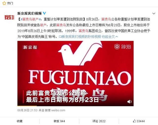 富貴鳥逆境重生，破產(chǎn)背后的力量與變化之美