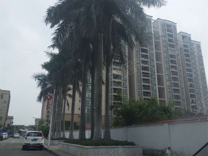 淮北南湖雅苑最新動態(tài)更新